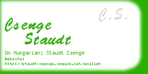 csenge staudt business card